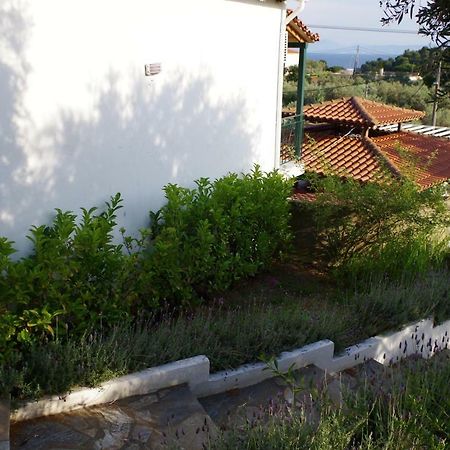 Esperos Hotel Troulos Exterior photo